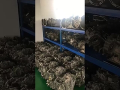 Transmisi otomatis Untuk model yang berbeda